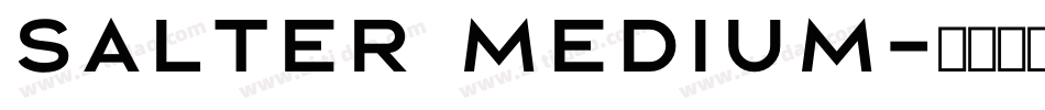 Salter Medium字体转换